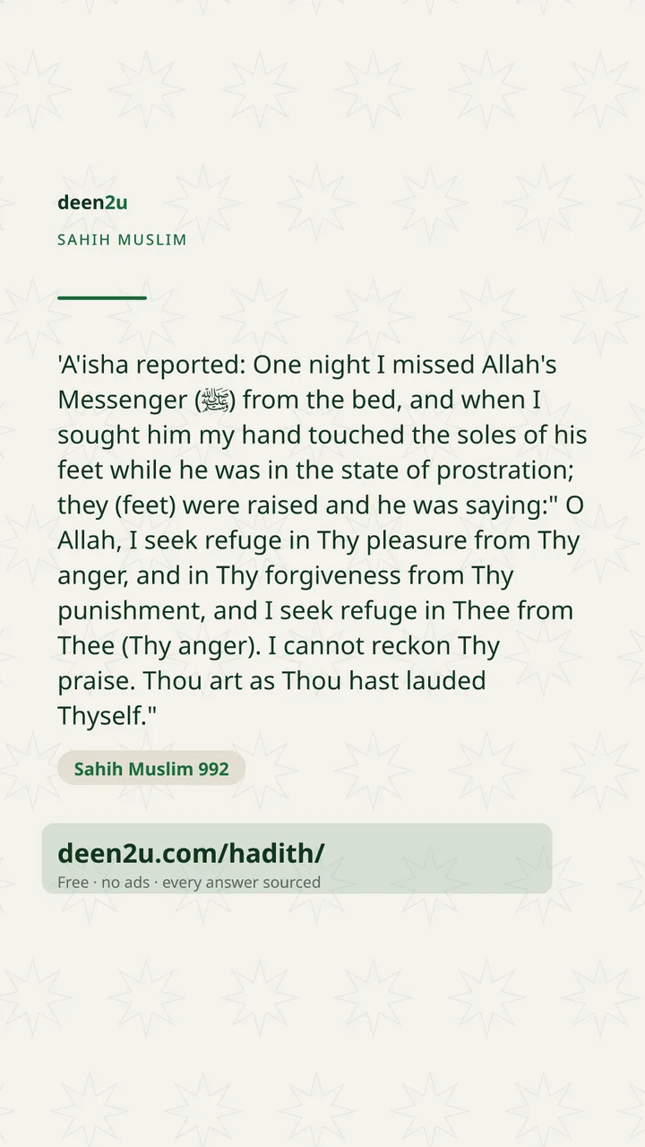 Sahih Muslim 992