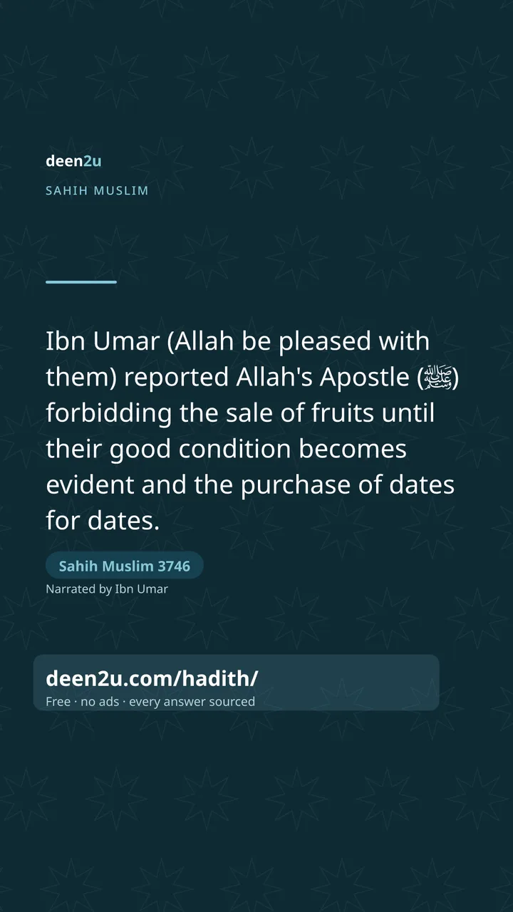 Sahih Muslim 3746