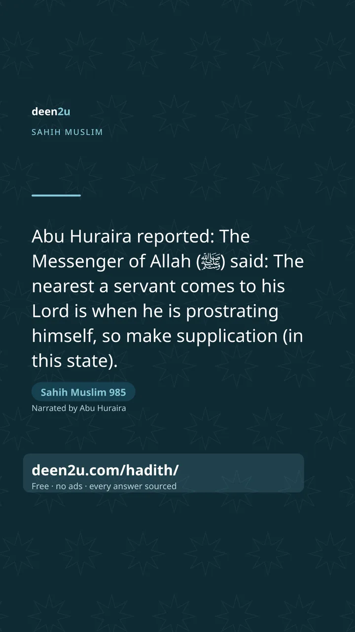 Sahih Muslim 985