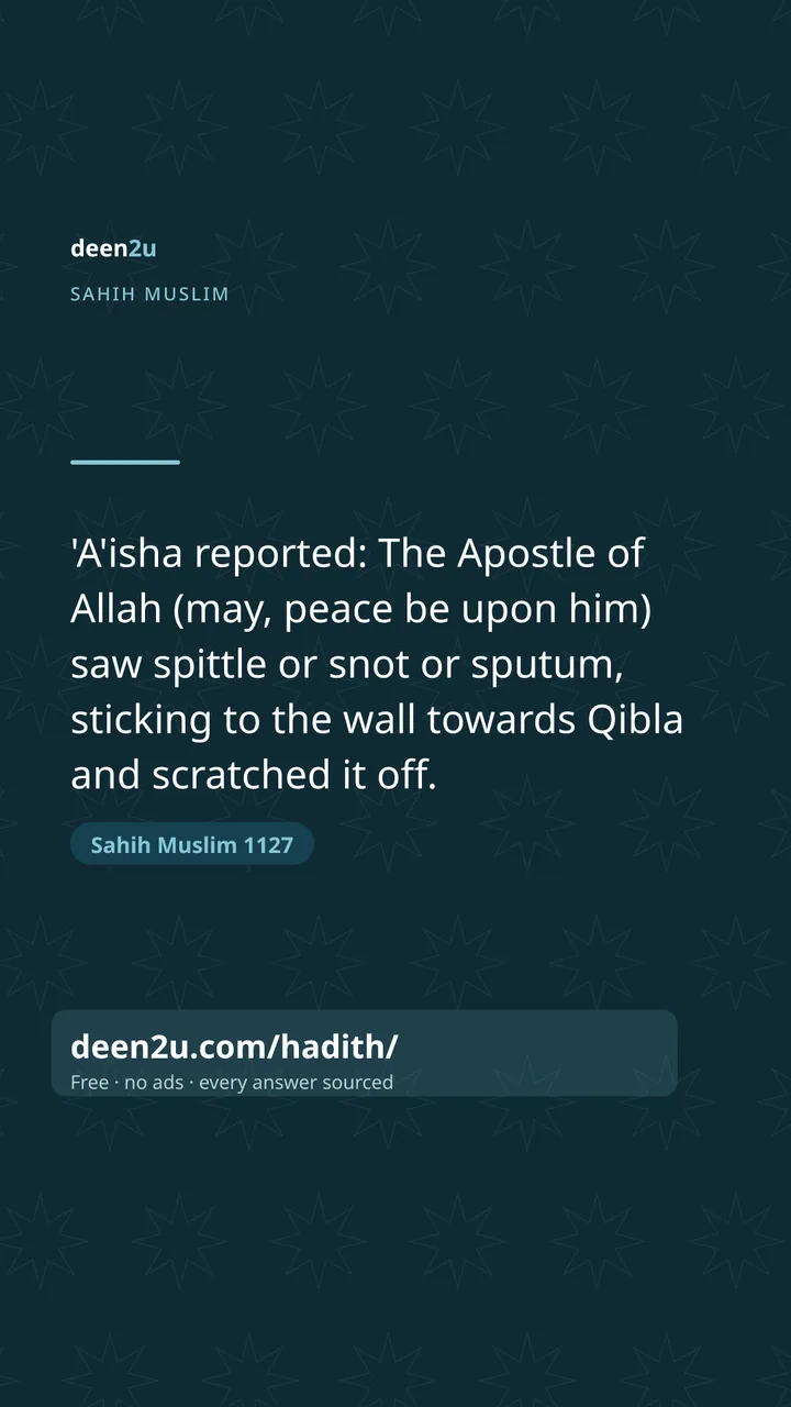 Sahih Muslim 1127