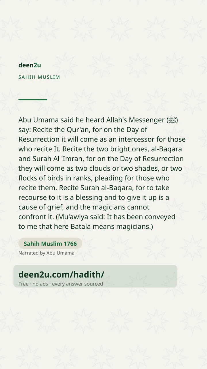 Sahih Muslim 1766