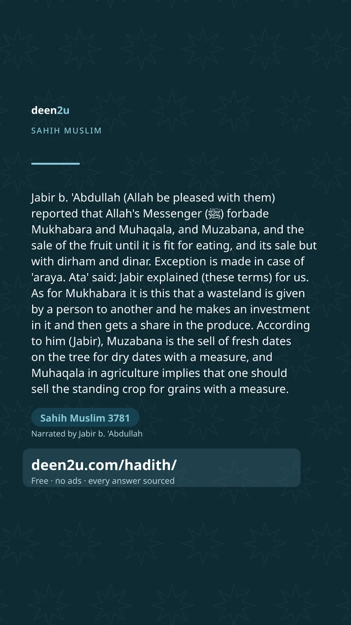 Sahih Muslim 3781