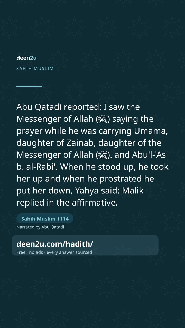 Sahih Muslim 1114
