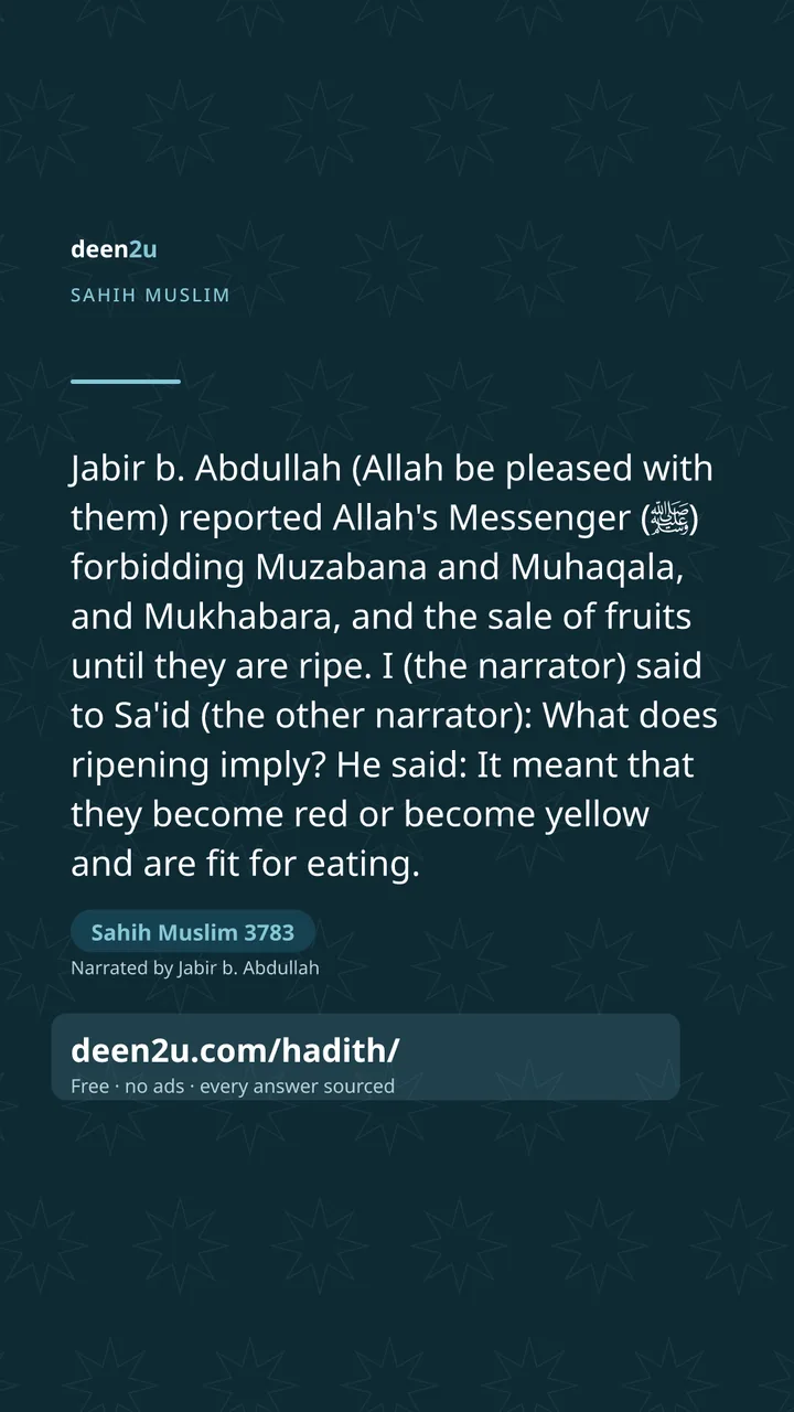 Sahih Muslim 3783