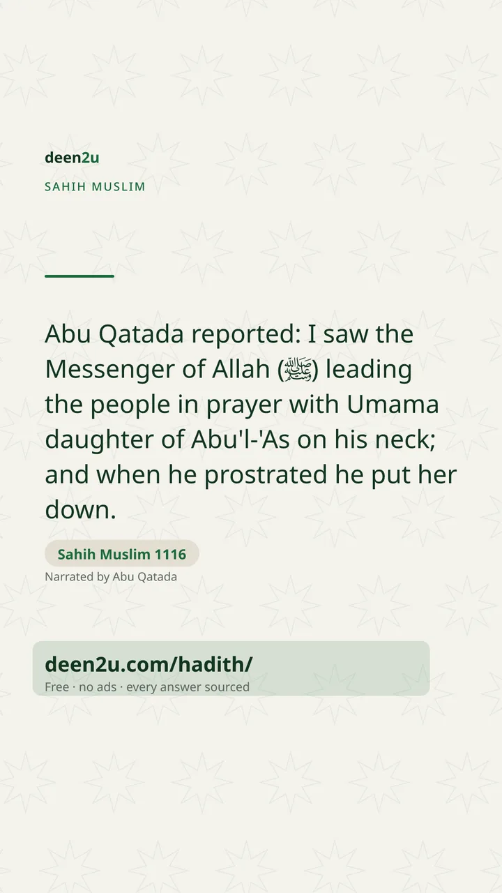 Sahih Muslim 1116