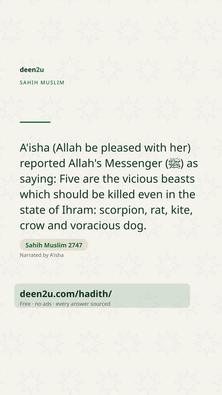Sahih Muslim 2747