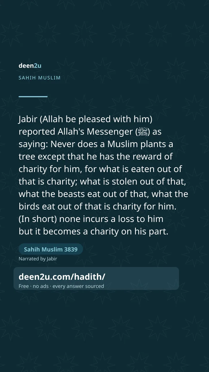 Sahih Muslim 3839