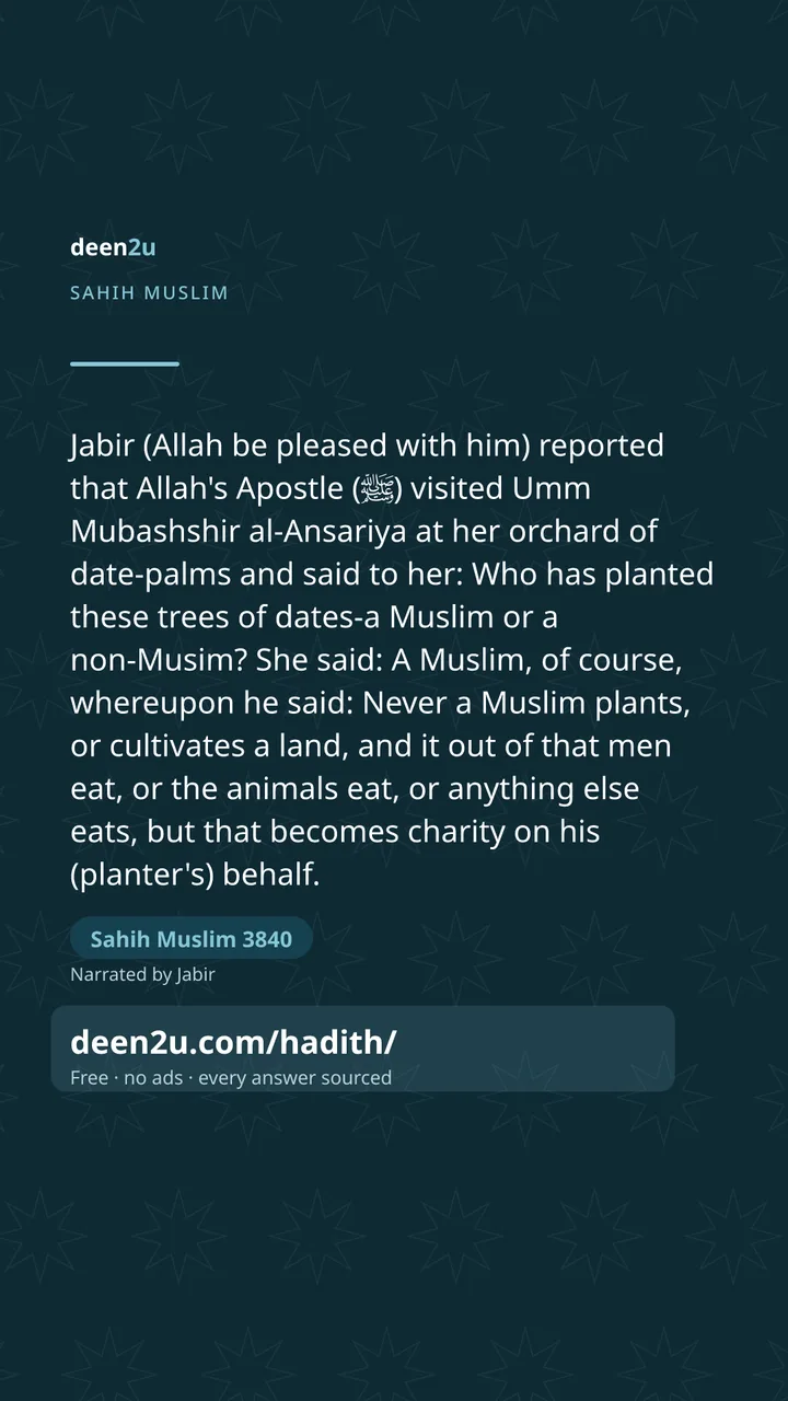 Sahih Muslim 3840