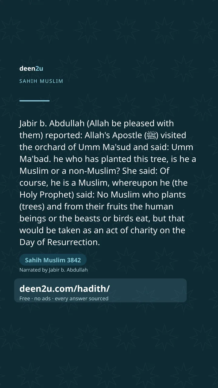 Sahih Muslim 3842