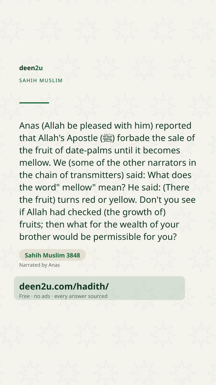 Sahih Muslim 3848