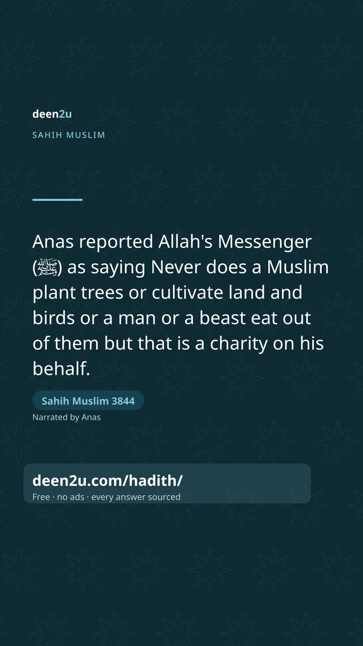 Sahih Muslim 3844