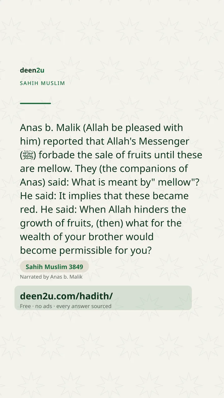 Sahih Muslim 3849