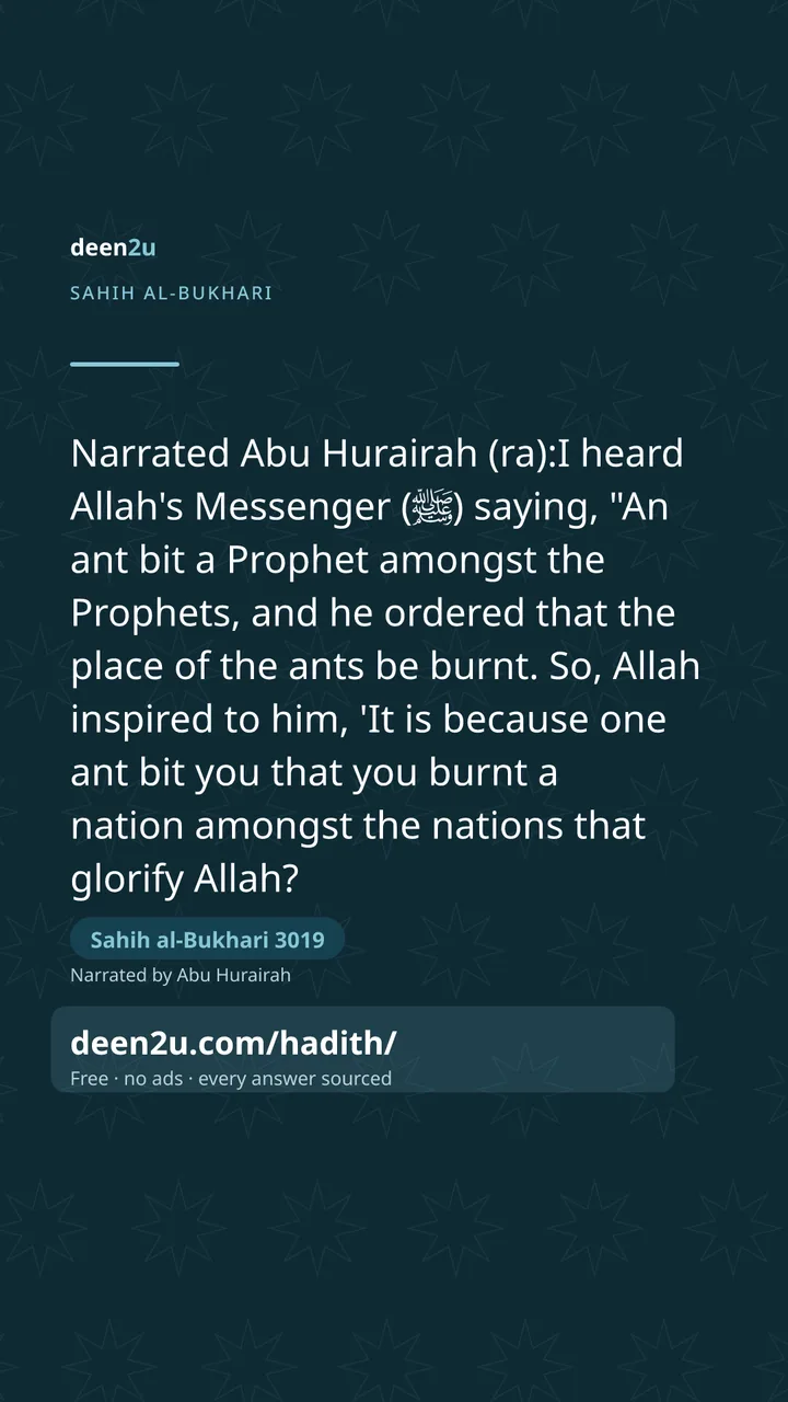 Sahih al-Bukhari 3019
