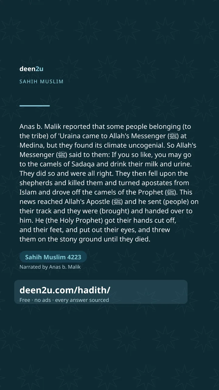 Sahih Muslim 4223