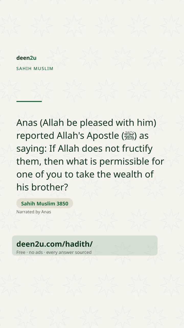 Sahih Muslim 3850