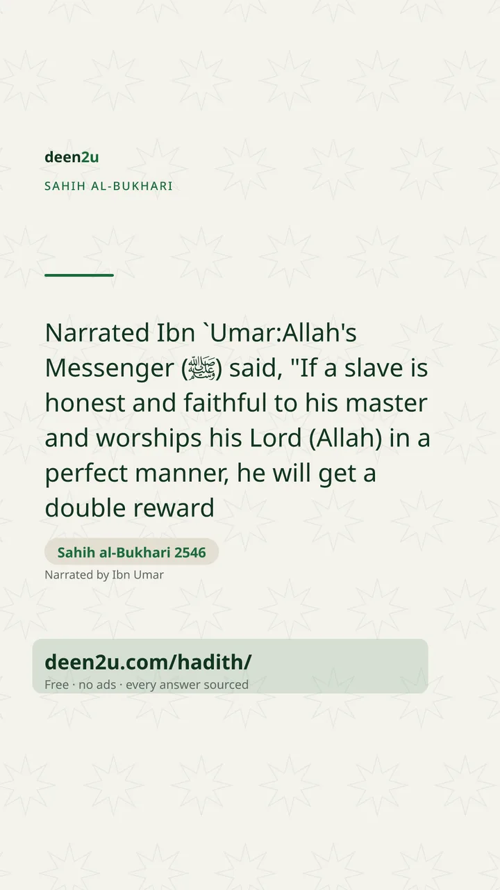 Sahih al-Bukhari 2546