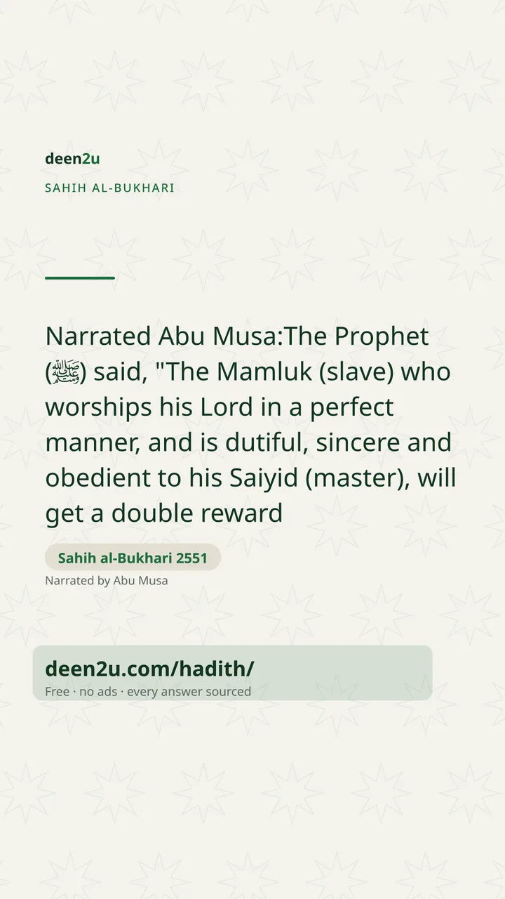 Sahih al-Bukhari 2551
