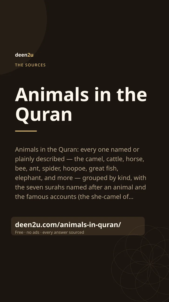 Poster: Animals in the Quran