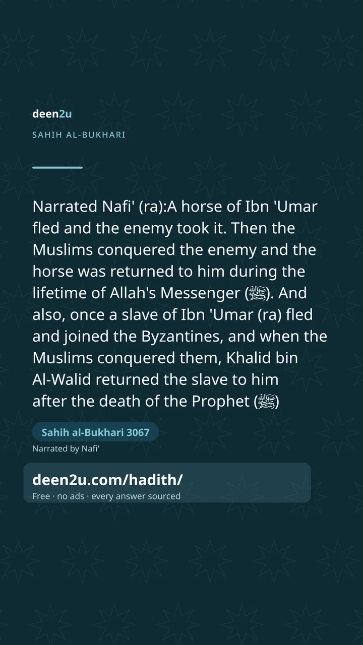 Sahih al-Bukhari 3067