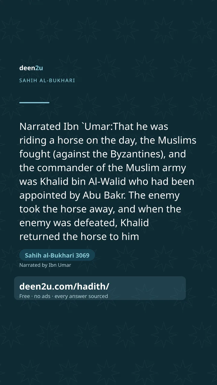 Sahih al-Bukhari 3069