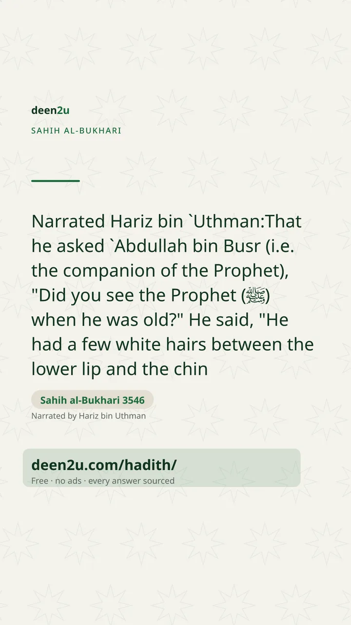 Sahih al-Bukhari 3546