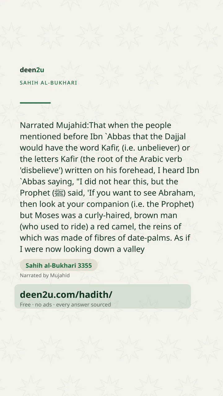 Sahih al-Bukhari 3355