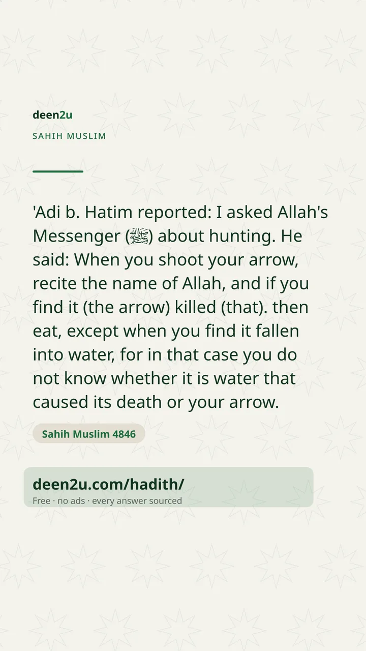 Sahih Muslim 4846