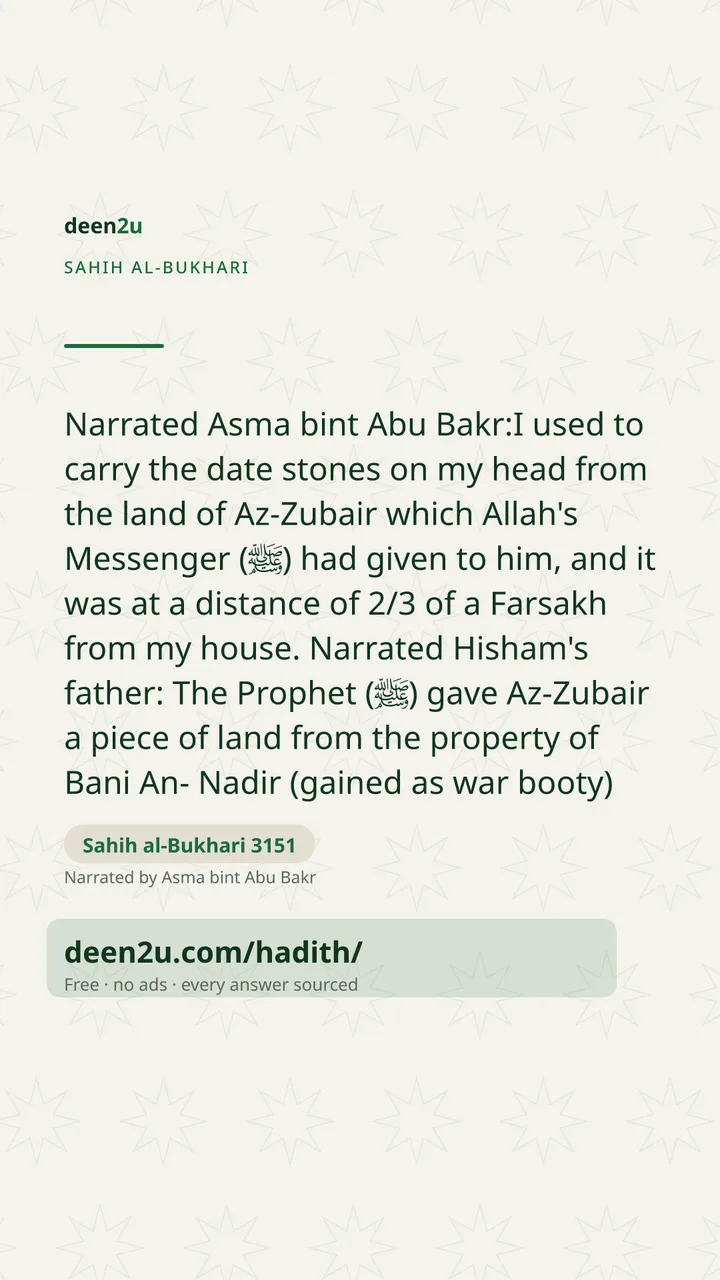 Sahih al-Bukhari 3151