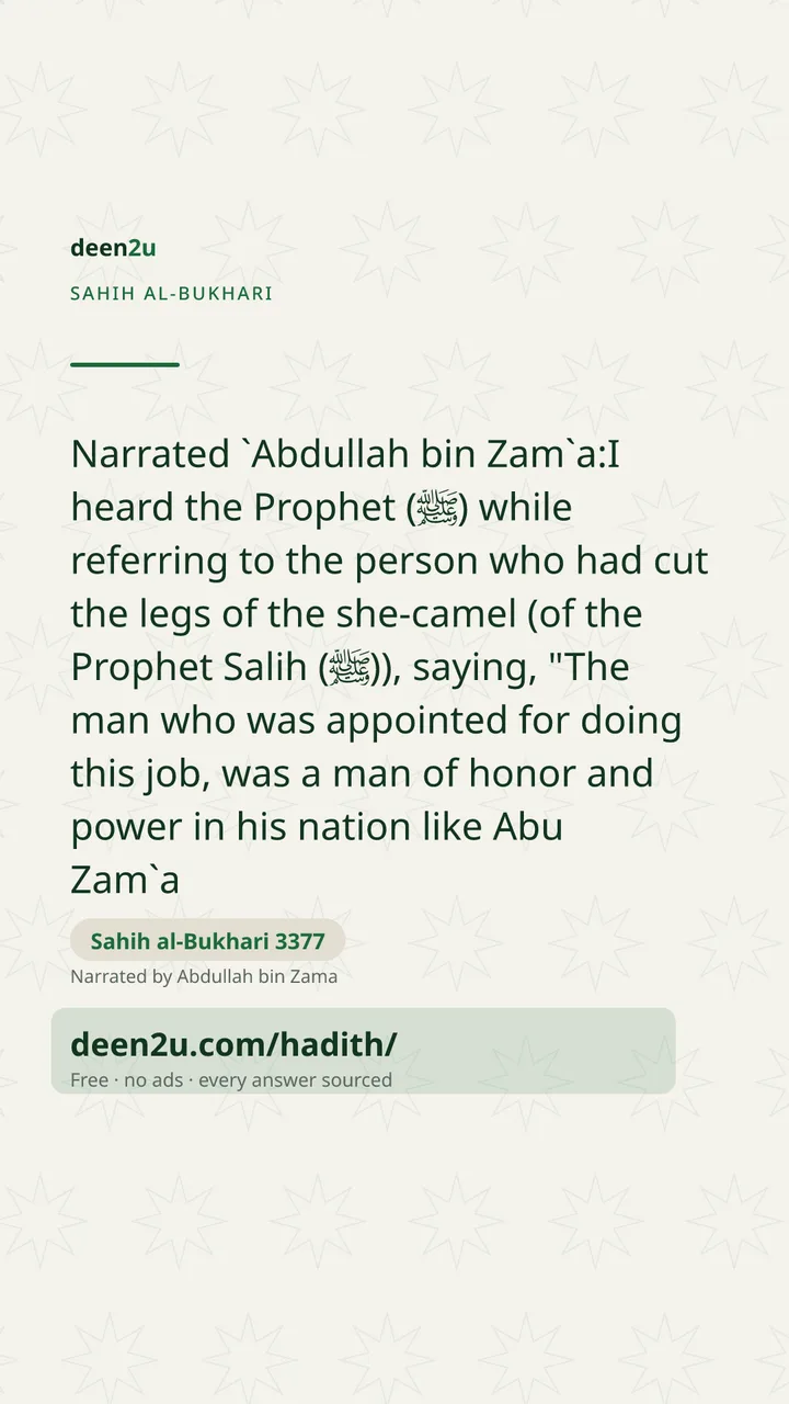 Sahih al-Bukhari 3377