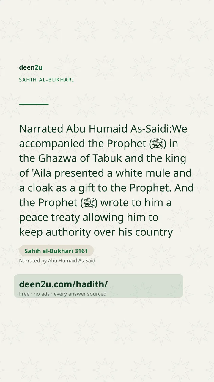 Sahih al-Bukhari 3161