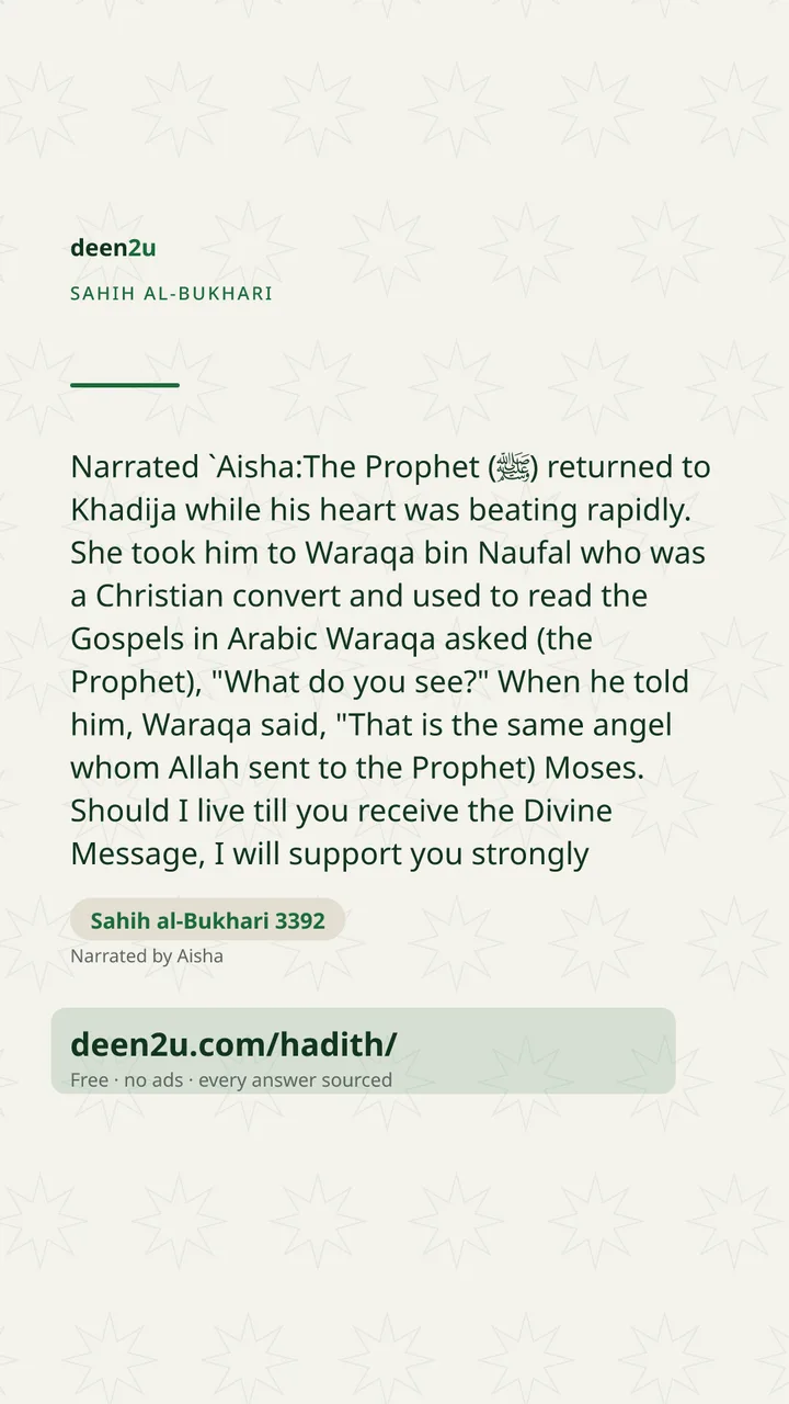 Sahih al-Bukhari 3392