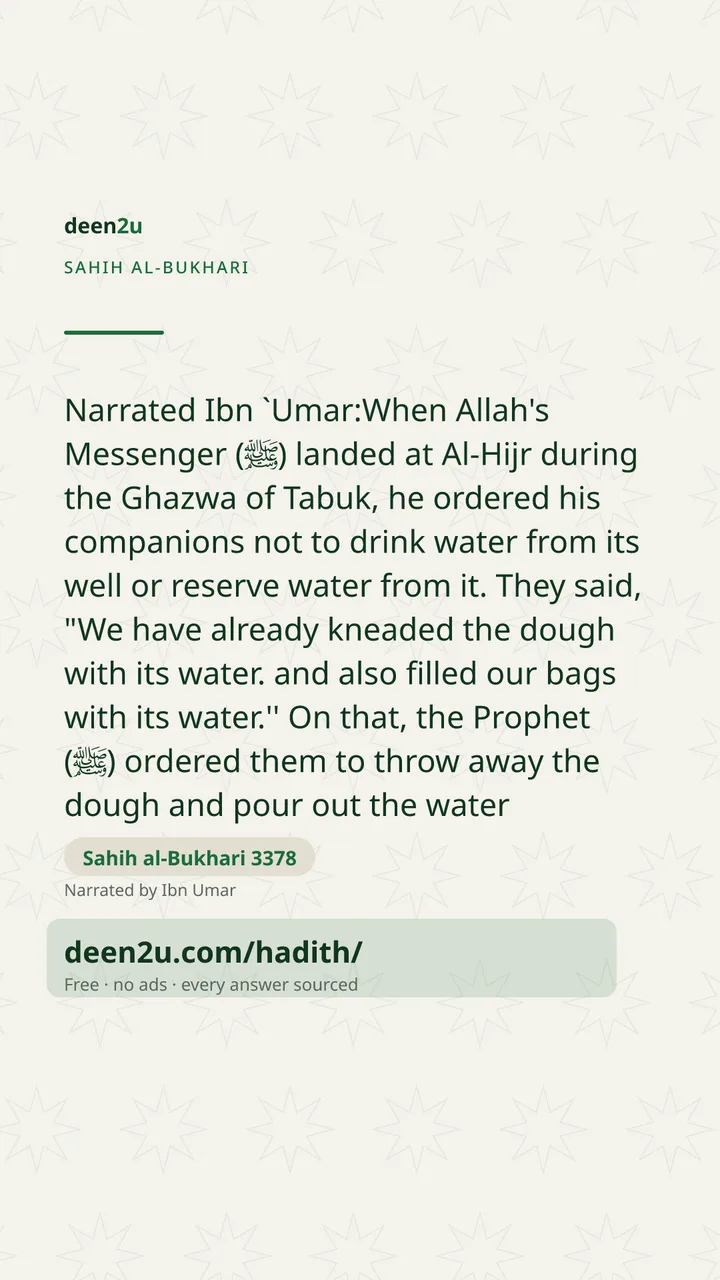 Sahih al-Bukhari 3378