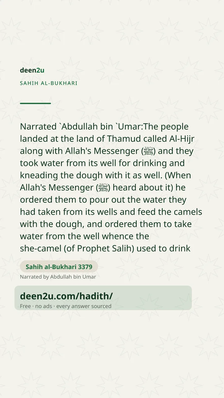 Sahih al-Bukhari 3379