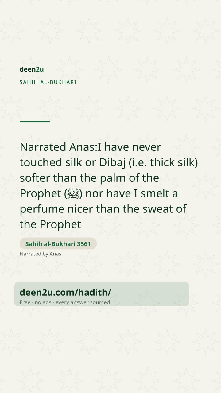 Sahih al-Bukhari 3561