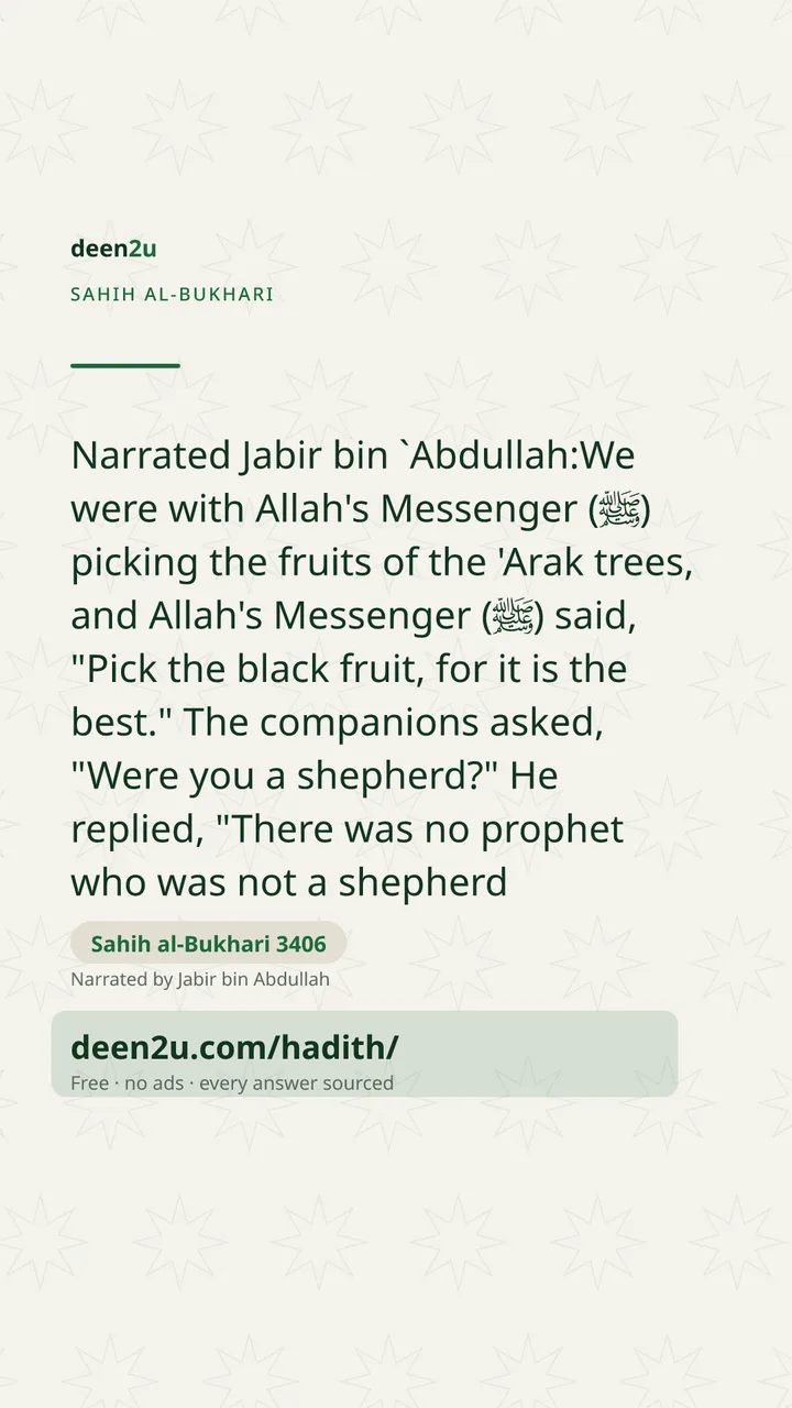 Sahih al-Bukhari 3406