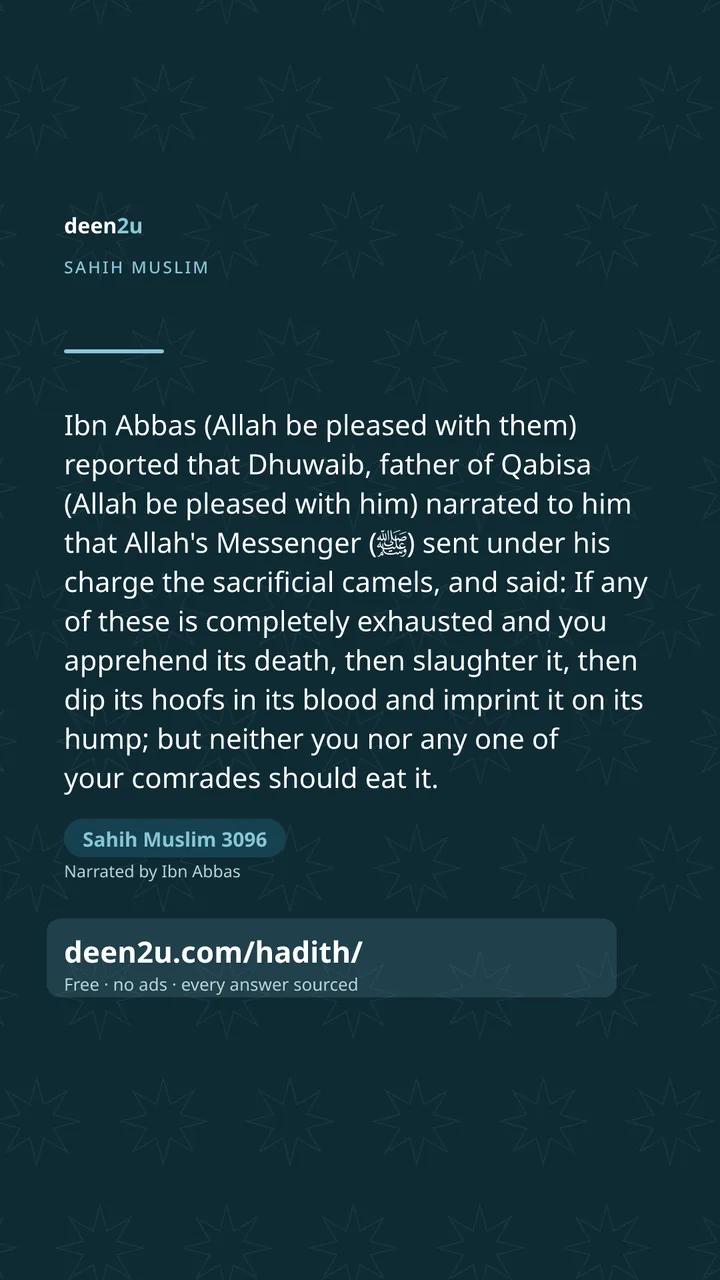 Sahih Muslim 3096