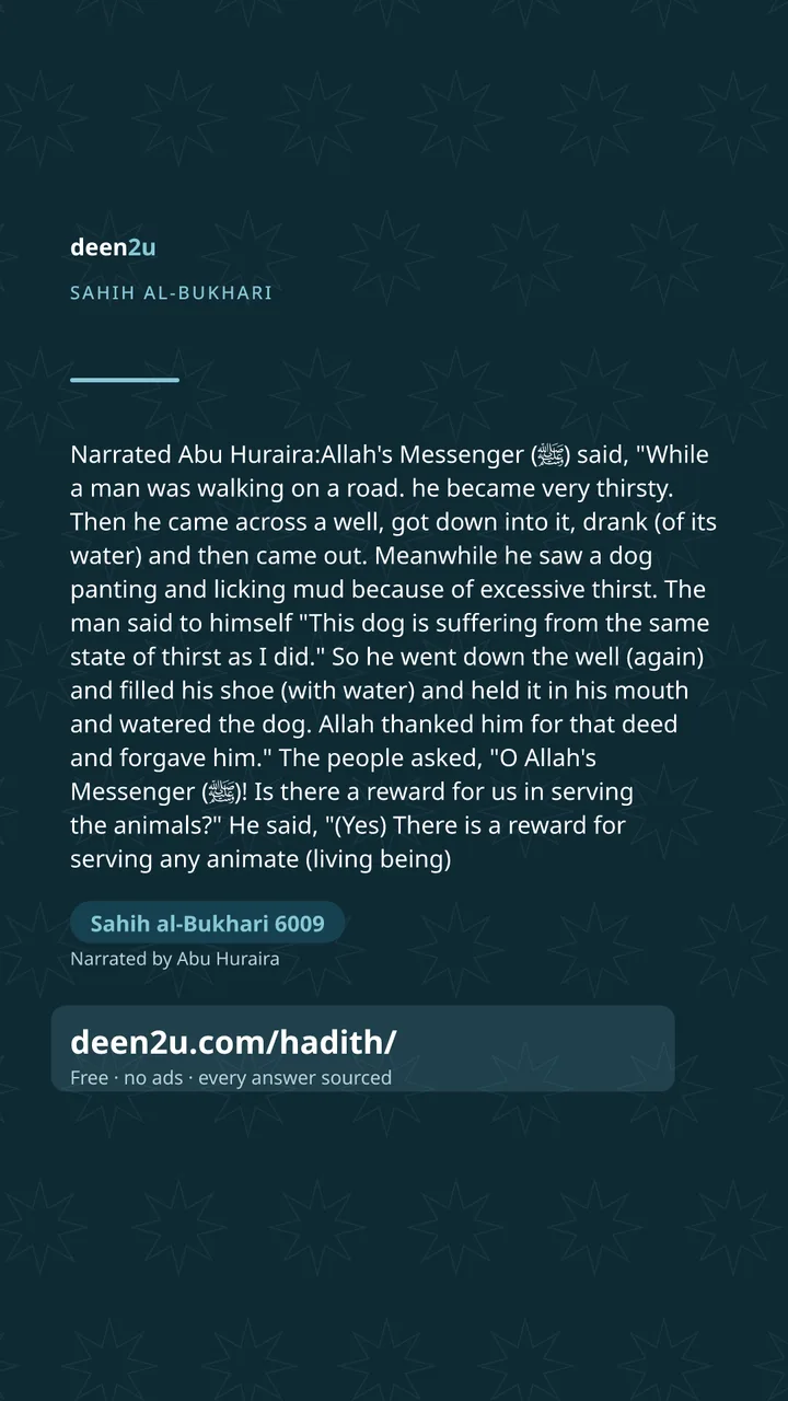 Sahih al-Bukhari 6009
