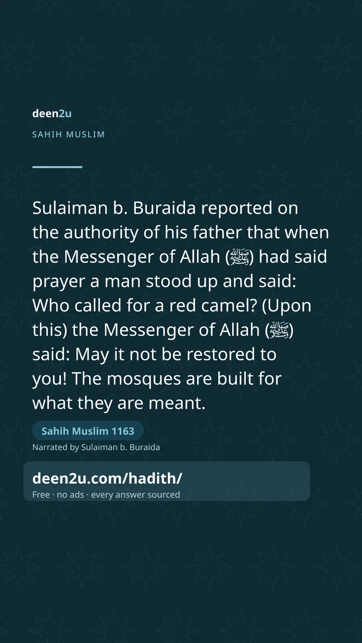 Sahih Muslim 1163