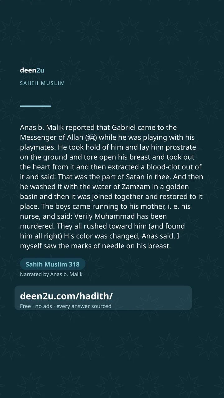 Sahih Muslim 318