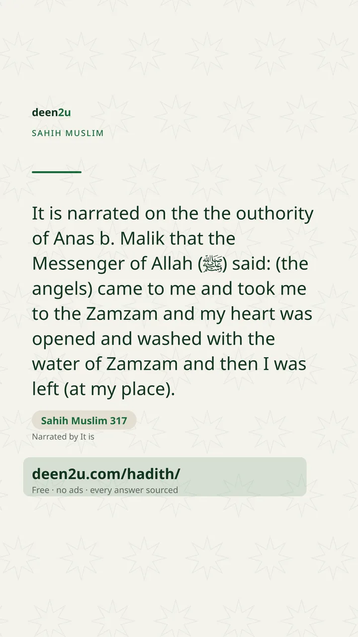 Sahih Muslim 317