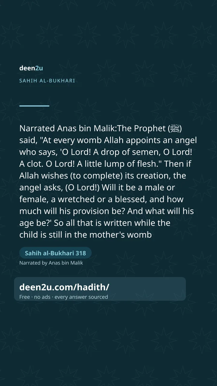Sahih al-Bukhari 318