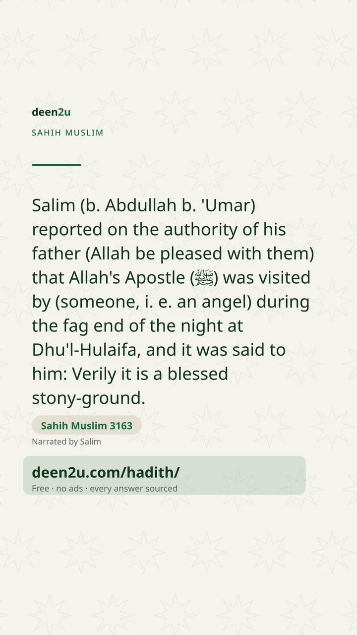 Sahih Muslim 3163