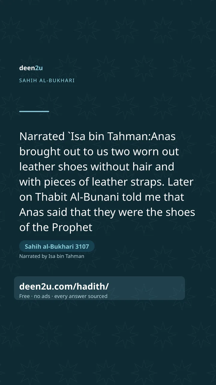 Sahih al-Bukhari 3107