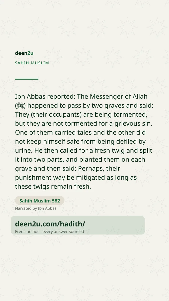 Sahih Muslim 582