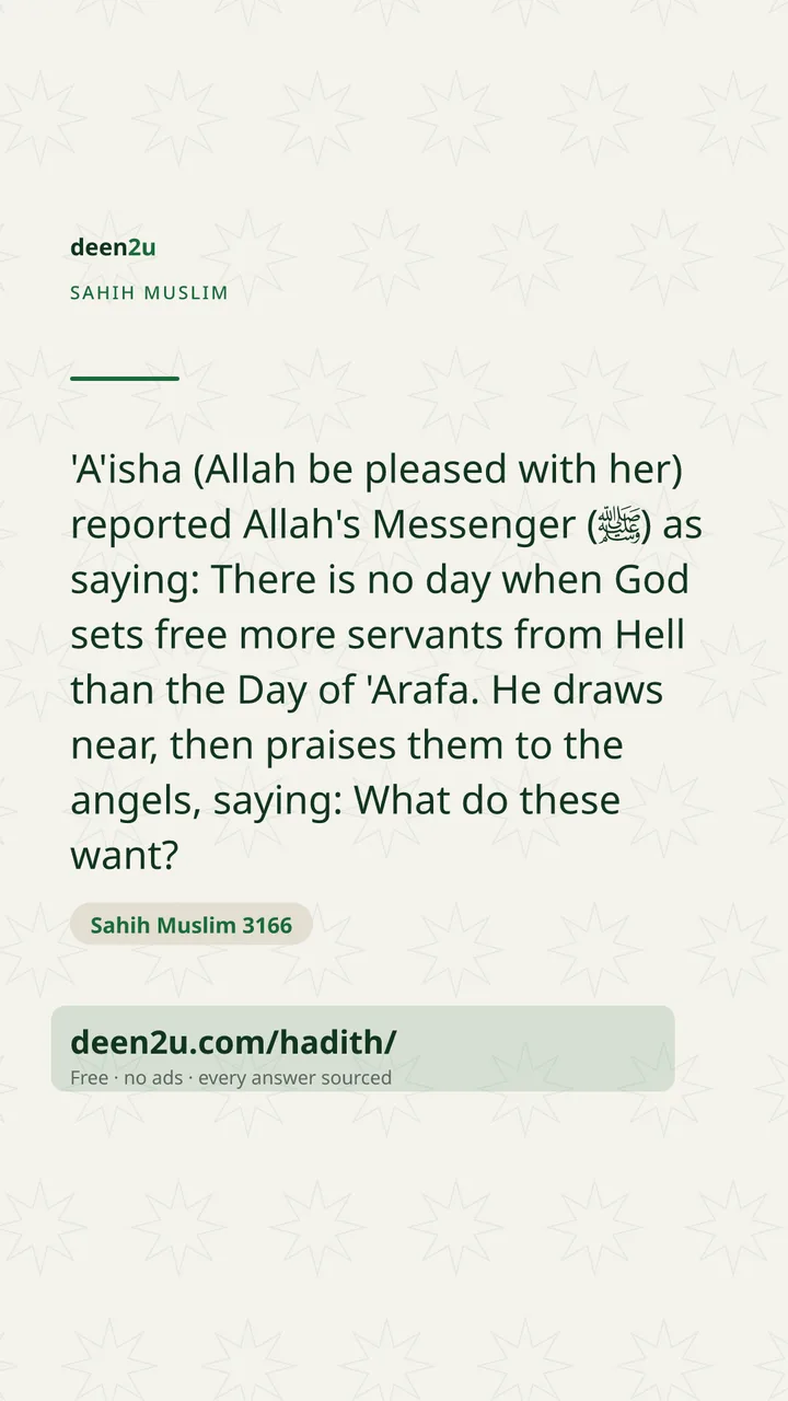 Sahih Muslim 3166