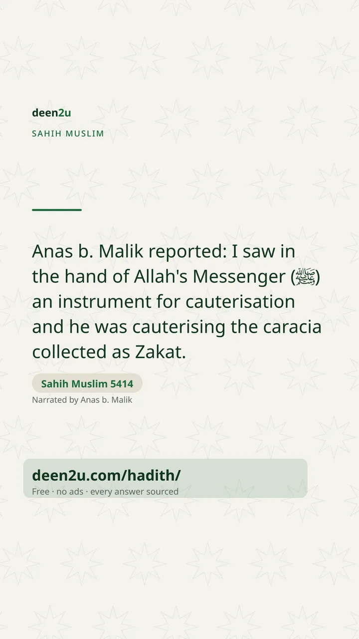 Sahih Muslim 5414