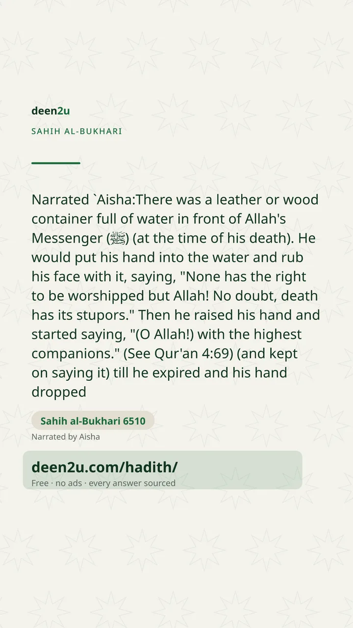 Sahih al-Bukhari 6510
