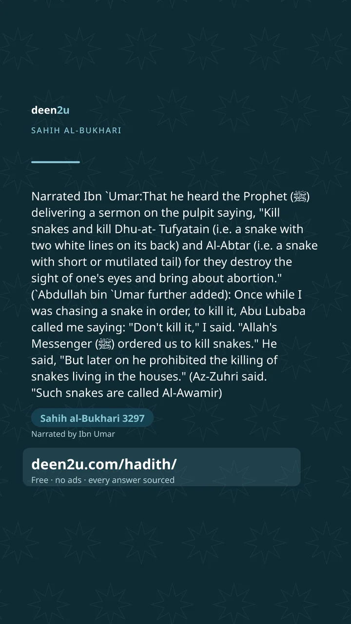 Sahih al-Bukhari 3297