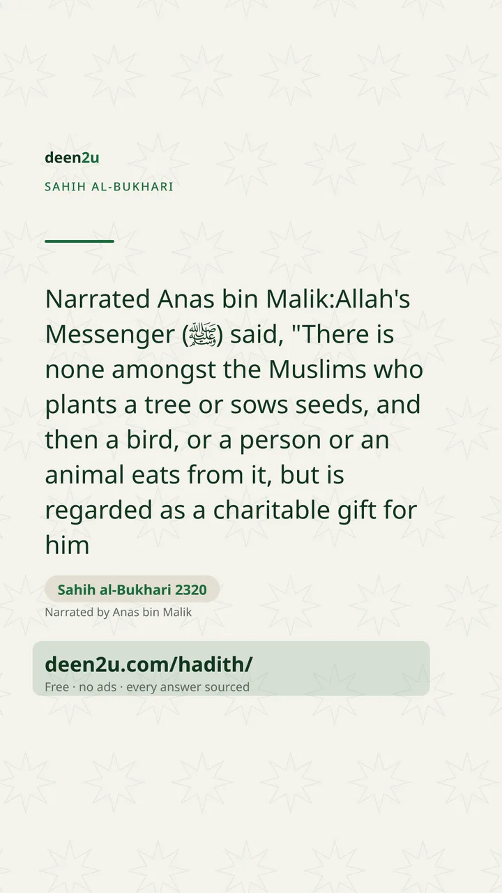 Sahih al-Bukhari 2320