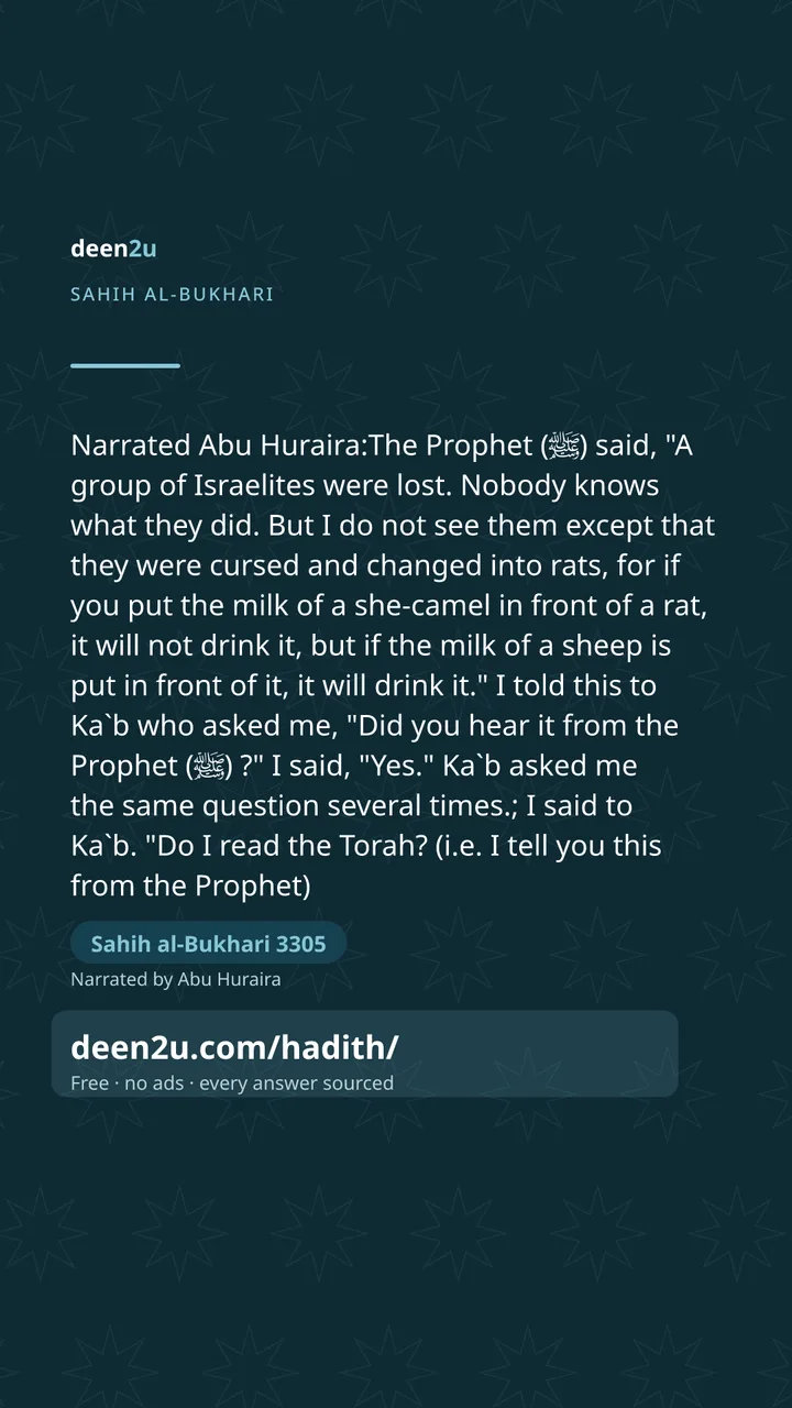 Sahih al-Bukhari 3305